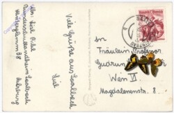 Saalbach-Hinterglemm, Zwölfer, Penhab und Schusterkogel