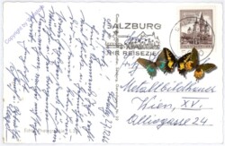 Salzburg, Glückwunsch zum Neuen Jahr