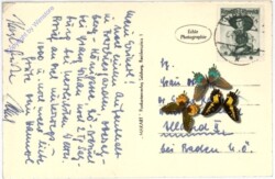 Salzburg, Franziskanerkirche