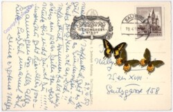 Salzburg, Franziskanerkirche, Hochaltar