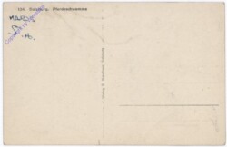 ak177054a Salzburg, Pferdeschwemme