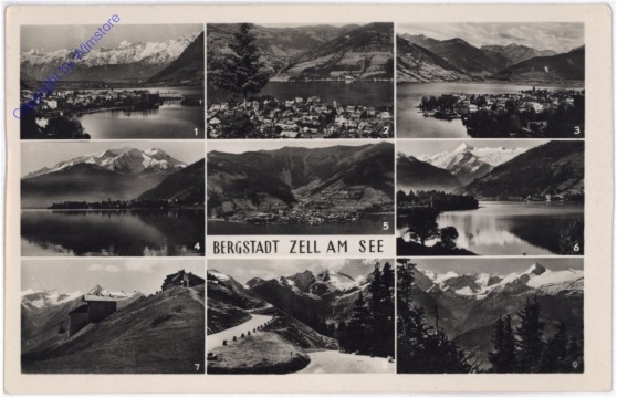 ak177114 Zell am See, Multiansicht