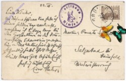 ak177240a Grünau, Almsee