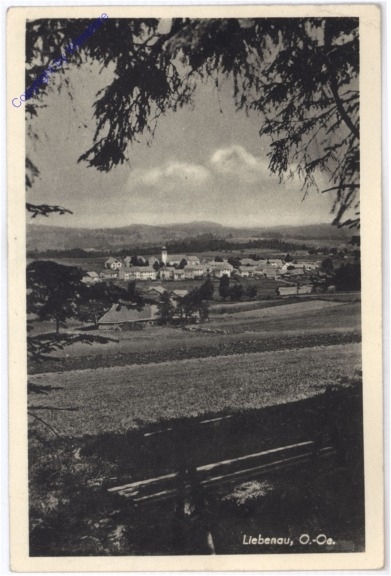 Liebenau, Ortsansicht