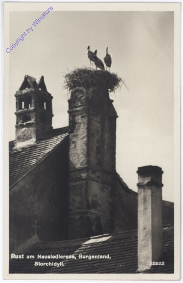 ak177441 Rust, Storchidyll