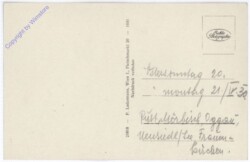 Rust, Totale mit Rathauskeller