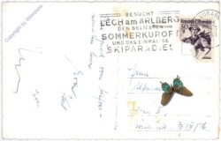 Lech am Arlberg, Ansicht