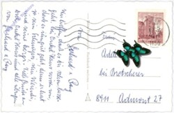 ak177482a Rosen, Geburtstag