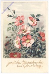 Rose, Geburtstag