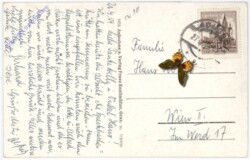 Admont, Gruss aus dem Admonter Stiftskeller