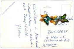 Bad Mitterndorf, Hollhaus a.d. Tauplitzalm mit Dachstein