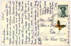 Bruck an der Mur, Frauenberg am Rennfeld