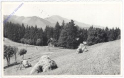 Bruck an der Mur, Ansicht