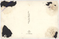 Gesäuse, Gesäusestraße, Hochstegtunnel, Planspitze