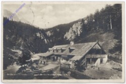 Hochschwab, Schwabenbartl
