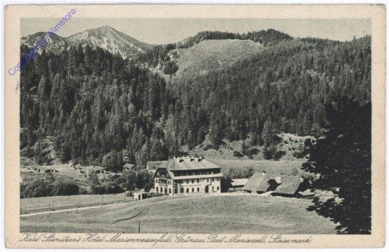 ak177812 Mariazell, Karl Stenitzer's Hotel Marienwasserfall
