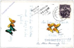 Mariazellerbahn, Winterbach