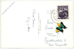 Muhr, Unterer Rotgüldensee