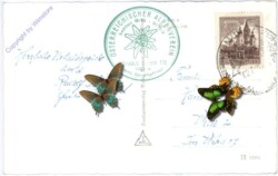 Muhr, Gr. Hafner mit Rotgüldensee