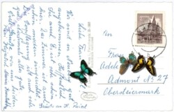 Neuberg, gegen Schneealpe