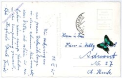 ak177915a Neumarkt, Ortsansicht