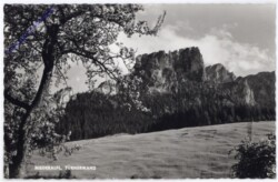 Niederalpl, Türnerwand