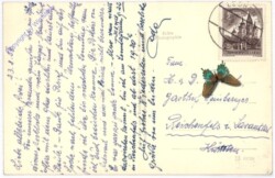 Niklasdorf, Schwimmbad