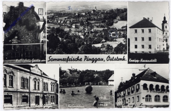 Pinggau, Multiansicht