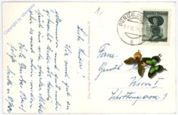 ak177948a Pürgg, Gasthof Mössner