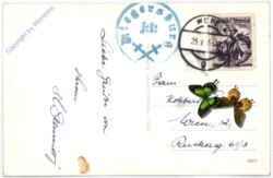 Riegersburg, Rittersaal