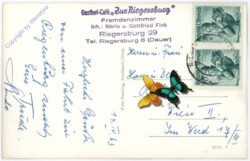 Riegersburg, Ansicht