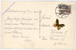 ak177979a Schladming, Ansicht