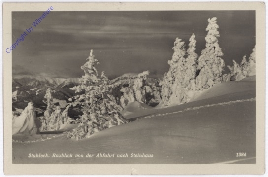Spital am Semmering, Stuhleck, Raxblick von der Abfahrt nach Steinhaus