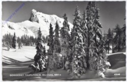 Tauplitz, Schigebiet Tauplitzalm