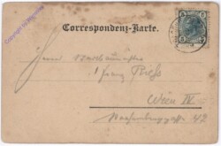 ak178047a Tragöss, Hochwildgruppe in der Jassing