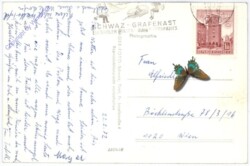 Schwaz, Berghaus "Hecher" mit Arbeserkopf