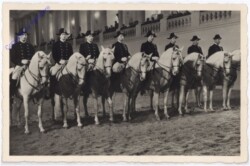 Wien 1, Spanische Reitschule, Aufstellung zur Vorführung klassischer Reitkunst