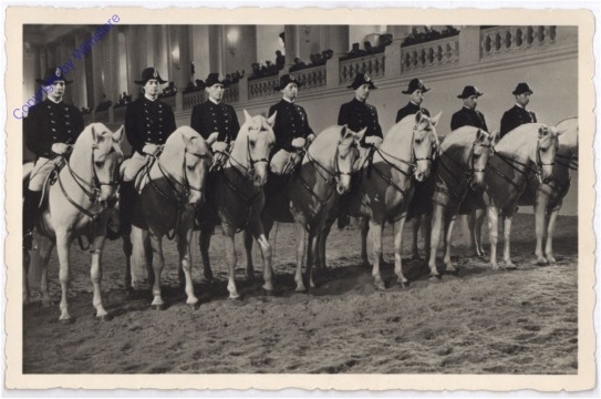 ak178463 Wien 1, Spanische Reitschule, Aufstellung zur Vorführung klassischer Reitkunst