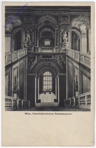 ak178492 Wien 1, Naturhistorisches Staatsmuseum