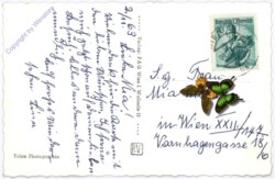 ak178536a Wien 1, Rathaus bei Festbeleuchtung