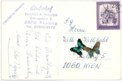 Aspang am Wechsel, Binderhof