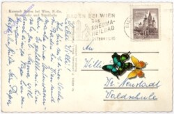 Baden, Blumenuhr