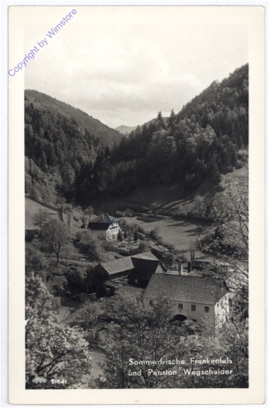 ak178890 Frankenfels, und Pension Wegscheider