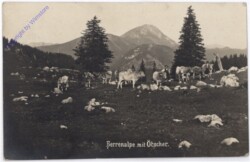 ak178904 Gaming, Herrenalpe mit Ötscher