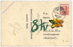 Groß Gerungs, Ortsansicht