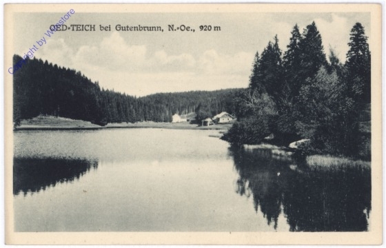 ak178915 Gutenbrunn, Oed-Teich