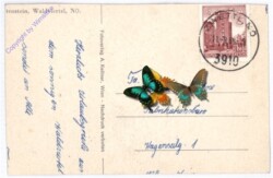 Gutenstein, Ansicht