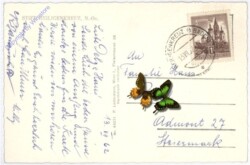 Heiligenkreuz, Stift
