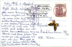 Hirschenwies, Ortsansicht