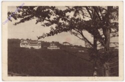 Hochegg, Heilanstalt